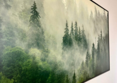 Ferienwohnung Bollenhut - Dekoration