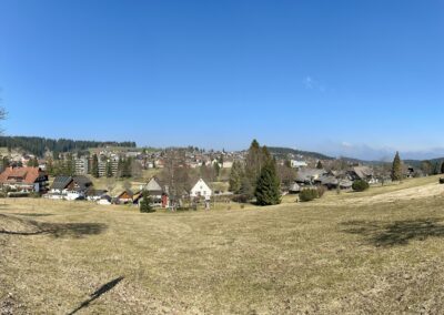 Ferienwohnung Bollenhut - Panorama