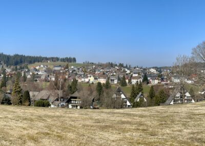 Ferienwohnung Bollenhut - Panorama