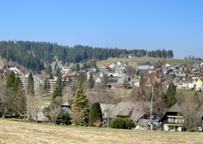 Ferienwohnung Bollenhut - Panorama