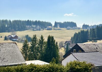 Ferienwohnung Bollenhut - Panorama